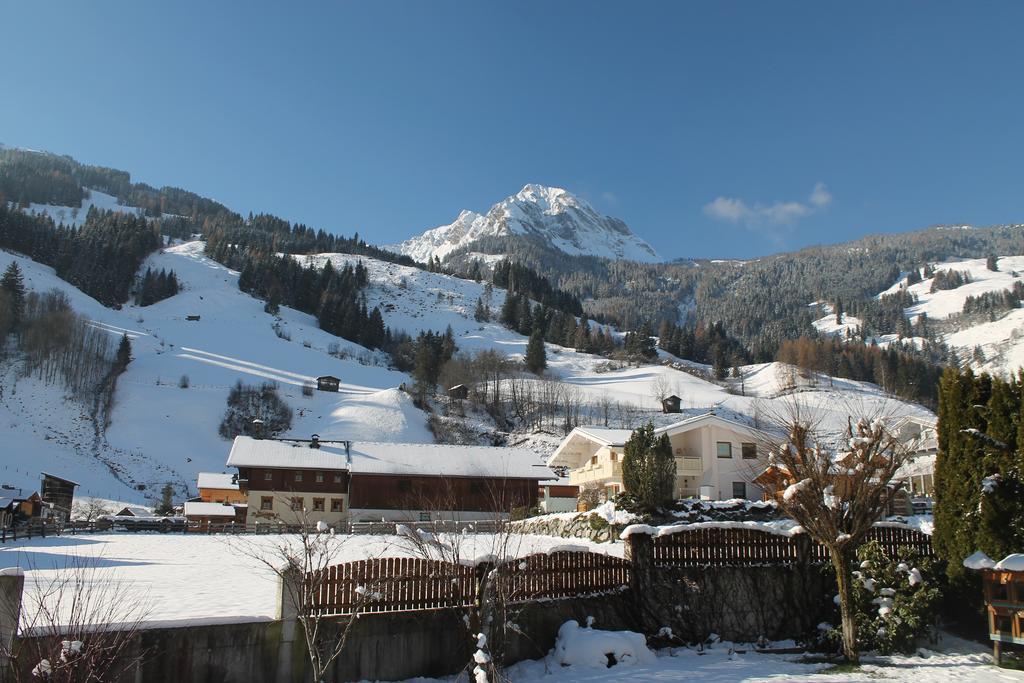 Haus Schoenegger Dorfgastein Exteriér fotografie