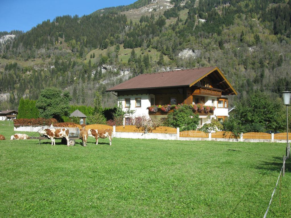 Haus Schoenegger Dorfgastein Exteriér fotografie